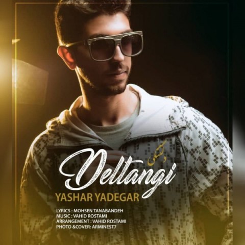 Yashar Yadegar   –   Deltangi